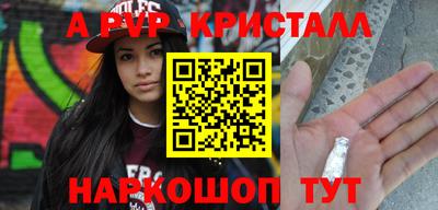 твердый Кингисепп