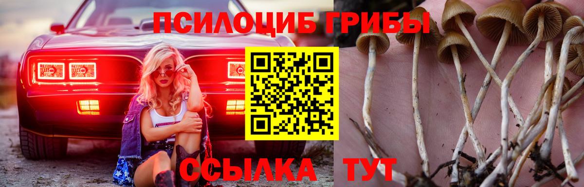 Галлюциногенные грибы GOLDEN TEACHER Кострома